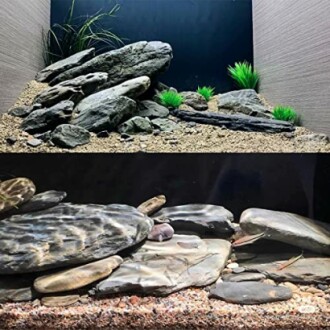 Natural Slate Rock Review - Enhance Your Aquarium with Stunning Decorative Rocks